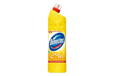 domestos-24h-citrus-fresh_1467637662-fda6b6463887fae81b5983fa07618e4a.jpg